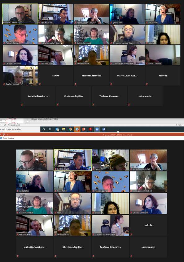 Webinaire ADN-O - 5 janvier 2021